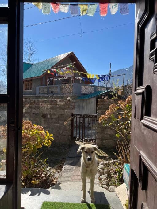 Gharsa - Your Mountain Home Manāli Esterno foto